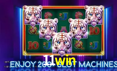11win Salvador - Statistics